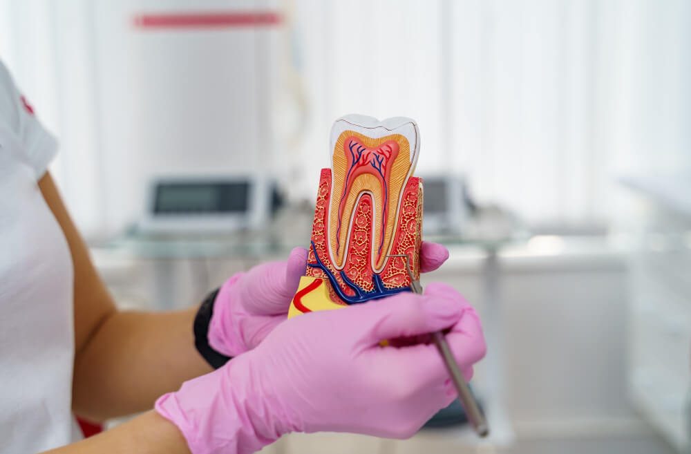 Tooth Pain Relief: Home Remedies, Causes, and When to See a Dentist